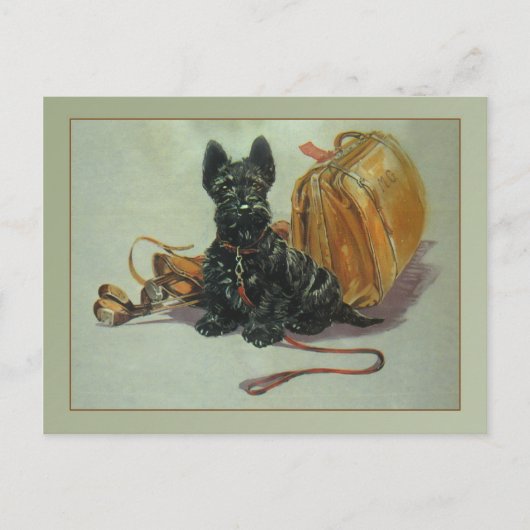 Carte postale Scottie Dog vintage (Devant)