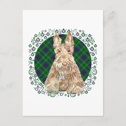 Carte Postale Scottie Duncan Tartan (Devant)