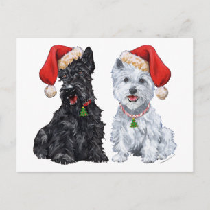Carte Postale Scottie et Westie en chants de Noël
