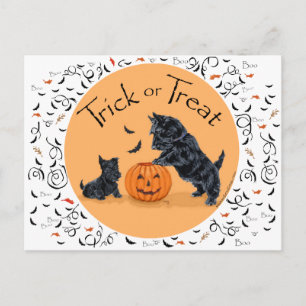 Carte Postale SCOTTIE Papa et chiot Halloween