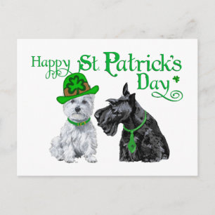 Carte Postale Scottie & Westie St. Paddy's Day