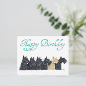 Carte Postale Scotties Alignés (Debout devant)