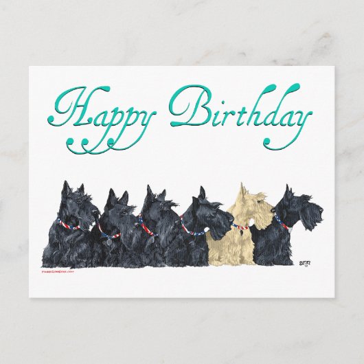 Carte Postale Scotties Alignés (Devant)