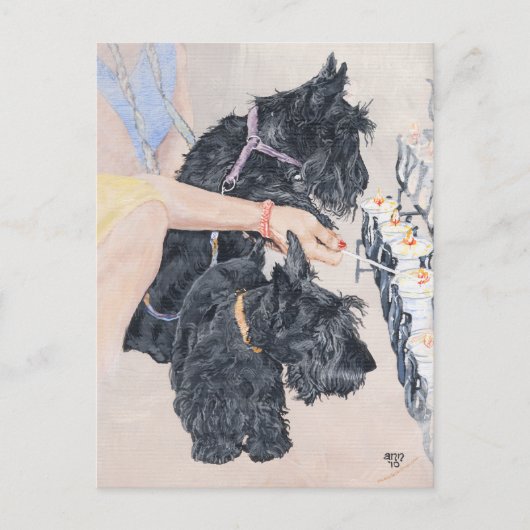 Carte Postale Scotties Allume des Bougies (Devant)