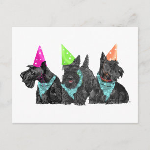 Carte Postale Scotties de la célébration en chapeaux de fête