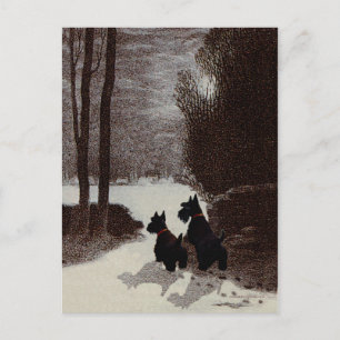 Carte Postale Scotties par une nuit hivernale surréaliste
