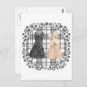 Carte Postale Scotties tartan (Devant / Derrière)