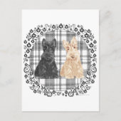 Carte Postale Scotties tartan (Devant)