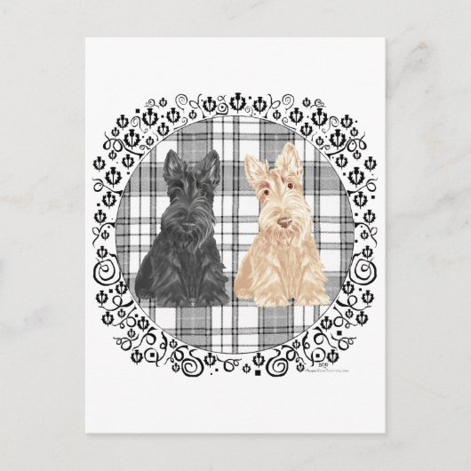 Carte Postale Scotties tartan (Devant)