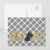 Carte Postale Scotties Tout en Rangée (Devant / Derrière)
