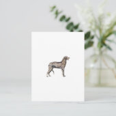 Carte Postale Scottish Deerhound (Debout devant)