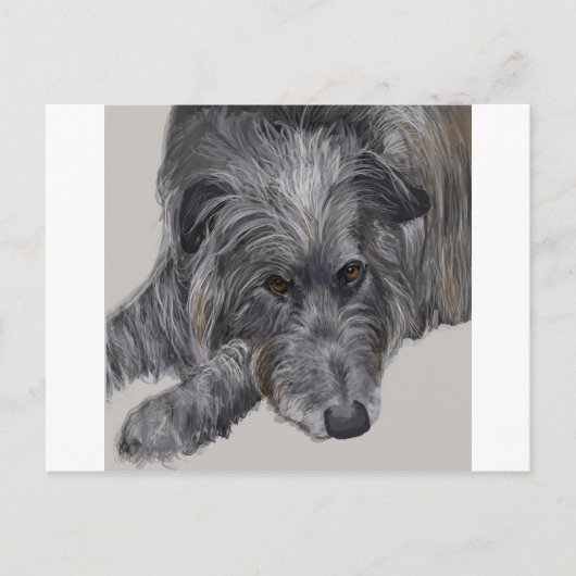 Carte Postale Scottish Deerhound (Devant)