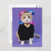 Carte Postale Scottish Fold Jester (Devant / Derrière)
