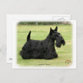 Carte Postale Scottish Terrier (Devant / Derrière)