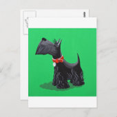 Carte Postale Scottish Terrier (Devant / Derrière)