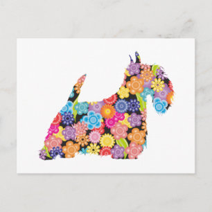 Carte Postale Scottish Terrier