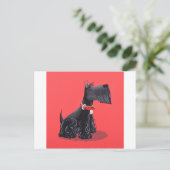 Carte Postale Scottish Terrier (Debout devant)