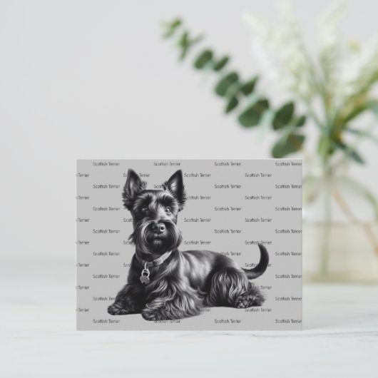 Carte Postale Scottish Terrier à (Debout devant)