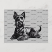 Carte Postale Scottish Terrier à (Devant)