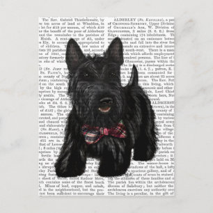 Carte Postale Scottish Terrier et Bow