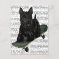Scottish Terrier et Skateboard