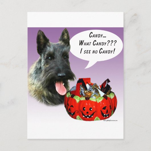 Carte Postale Scottish Terrier Halloween Candy (Devant)