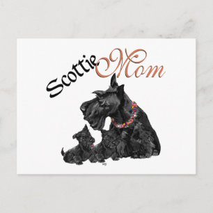 Carte Postale Scottish Terrier Mom & Pups for Mother's Day
