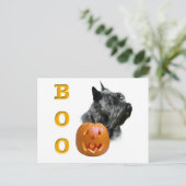 Carte Postale Scottish Terrier (noir) Boo (Debout devant)