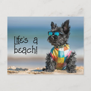Carte Postale Scottish Terrier Puppy portant des lunettes de sol