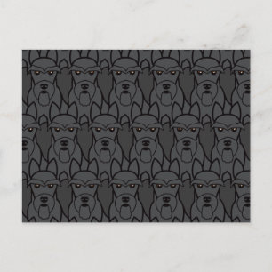 Carte Postale Scottish Terriers