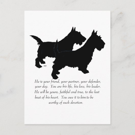 Carte Postale Scottish Terriers Keepsaké - Chiens MALE (Devant)