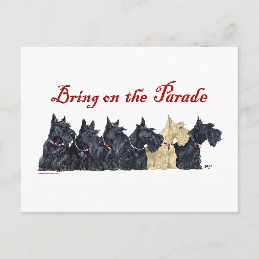 Carte Postale Scottish Terriers noirs et froment (Devant)
