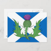Carte Postale Scottish Thistle and Saltire (Devant / Derrière)