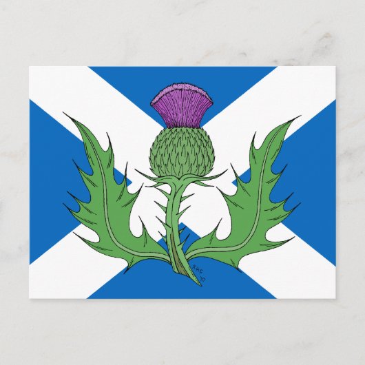 Carte Postale Scottish Thistle and Saltire (Devant)