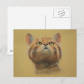 Carte Postale Scottish Wildcat (Devant / Derrière)