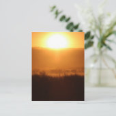 Carte Postale Scottsbluff Nebraska Farming Harvest Fall Sunset (Debout devant)