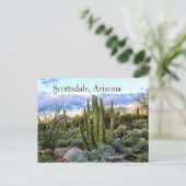 Carte Postale Scottsdale Succulent Sunset (Debout devant)