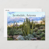 Carte Postale Scottsdale Succulent Sunset (Devant / Derrière)