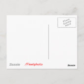 Carte Postale Scotus par Appel-Divin Réussi (Dos)