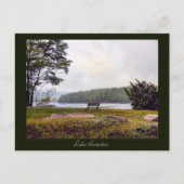 Carte postale Scranton PA-Lake Scranton (Devant)