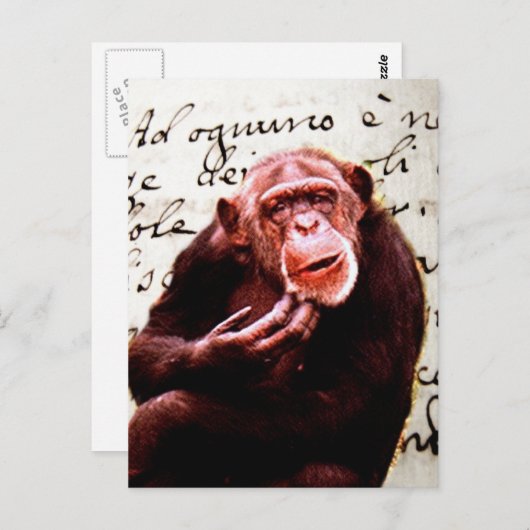 Carte Postale Scripts vintages drôle Chimpanzé (Devant / Derrière)