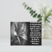 CARTE POSTALE SCRIPTURE BIBLE ISAIAH 55:11 (Debout devant)