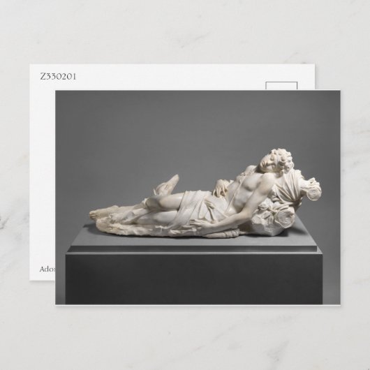 Carte Postale Sculpture d'Adonis (Devant / Derrière)