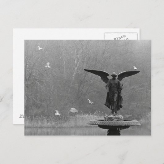 Carte Postale Sculpture d'ange dans l'étang (Devant / Derrière)