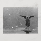 Carte Postale Sculpture d'ange dans l'étang (Devant)