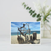 Carte Postale sculpture de plage de puka (Debout devant)