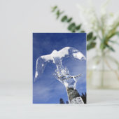 Carte Postale Sculpture sur glace à Lake Louise, Alberta, Canada (Debout devant)