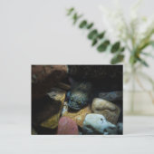 Carte Postale Sculpture sur quelques rochers (Debout devant)