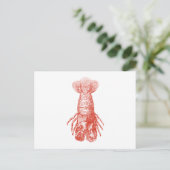 Carte Postale Scyllarus Arctus vintage (Debout devant)