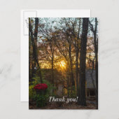 Carte Postale Sdc Woods Sunset (Devant / Derrière)